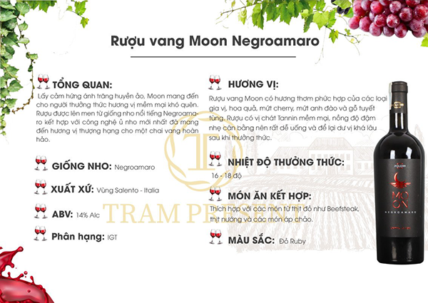 Rượu vang Moon Negroamaro 14% Limited Edition