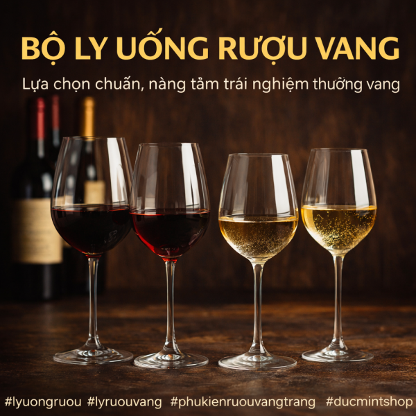 bo-ly-uong-ruou-vang